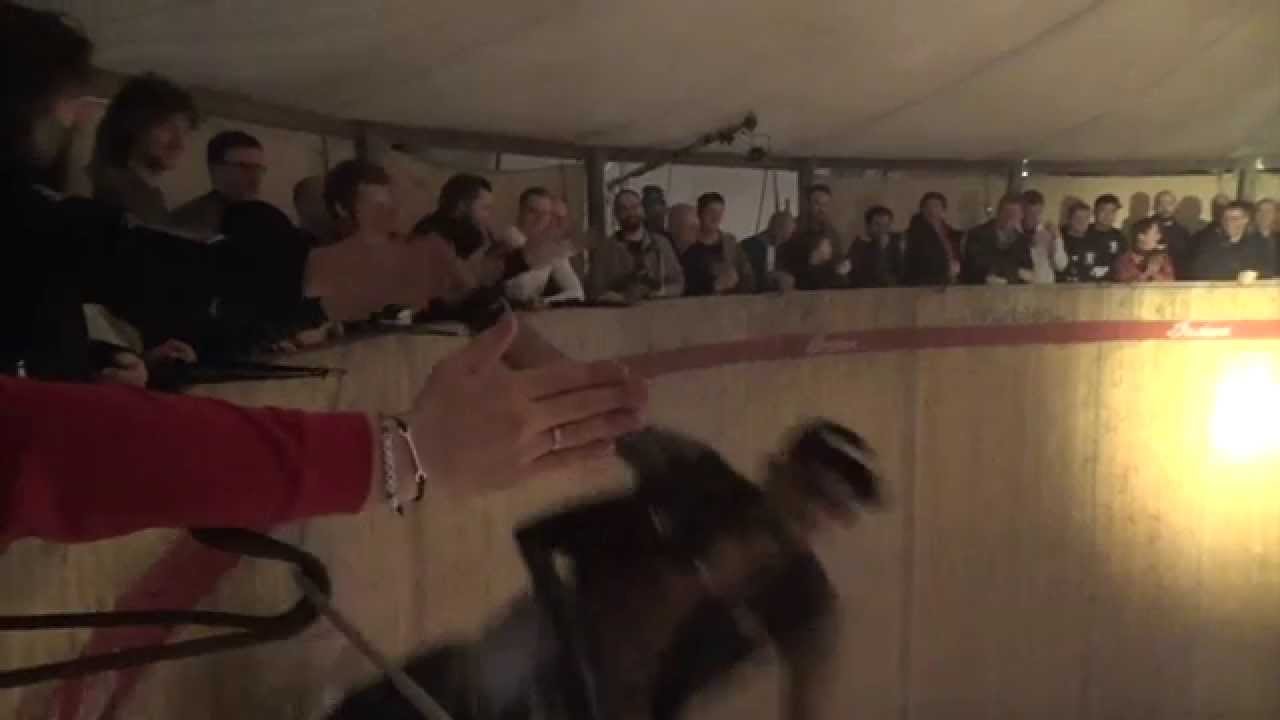 mc mässa 2015 Incredible motorcycle show in a barrel !! mc show 2015