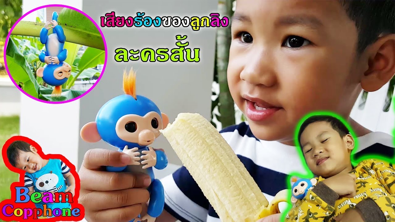 ละครสั้น เสียงร้องของลูกลิง | น้องบีม