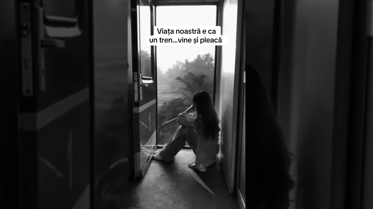 Viața noastră (2025) -e ca un tren : vine și pleacă - o melodie care merită să fie ascultată 