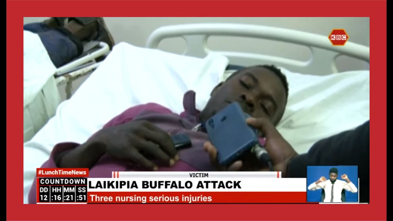 Three people attacked by a Buffalo in Salama, Laikipia