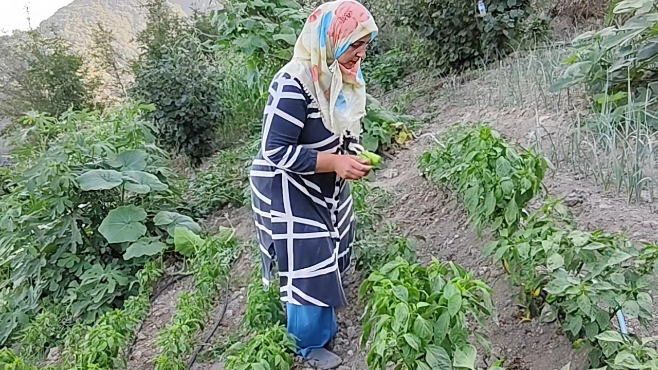 Doğanın Kalbinde Minik Ellerle: Kızımın İlk Hasat Macerası 