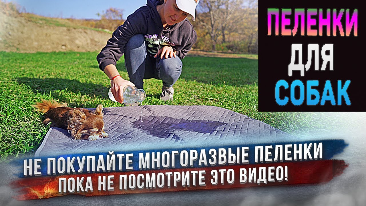 Многоразовые пеленки для собак. Волшебная пеленка впитывает литры жидкости!