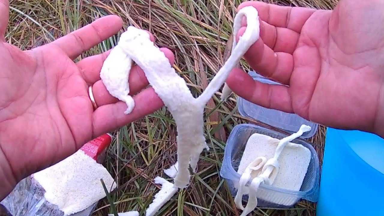 Questo Pane, non si Stacca, Pesca al Cefalo...