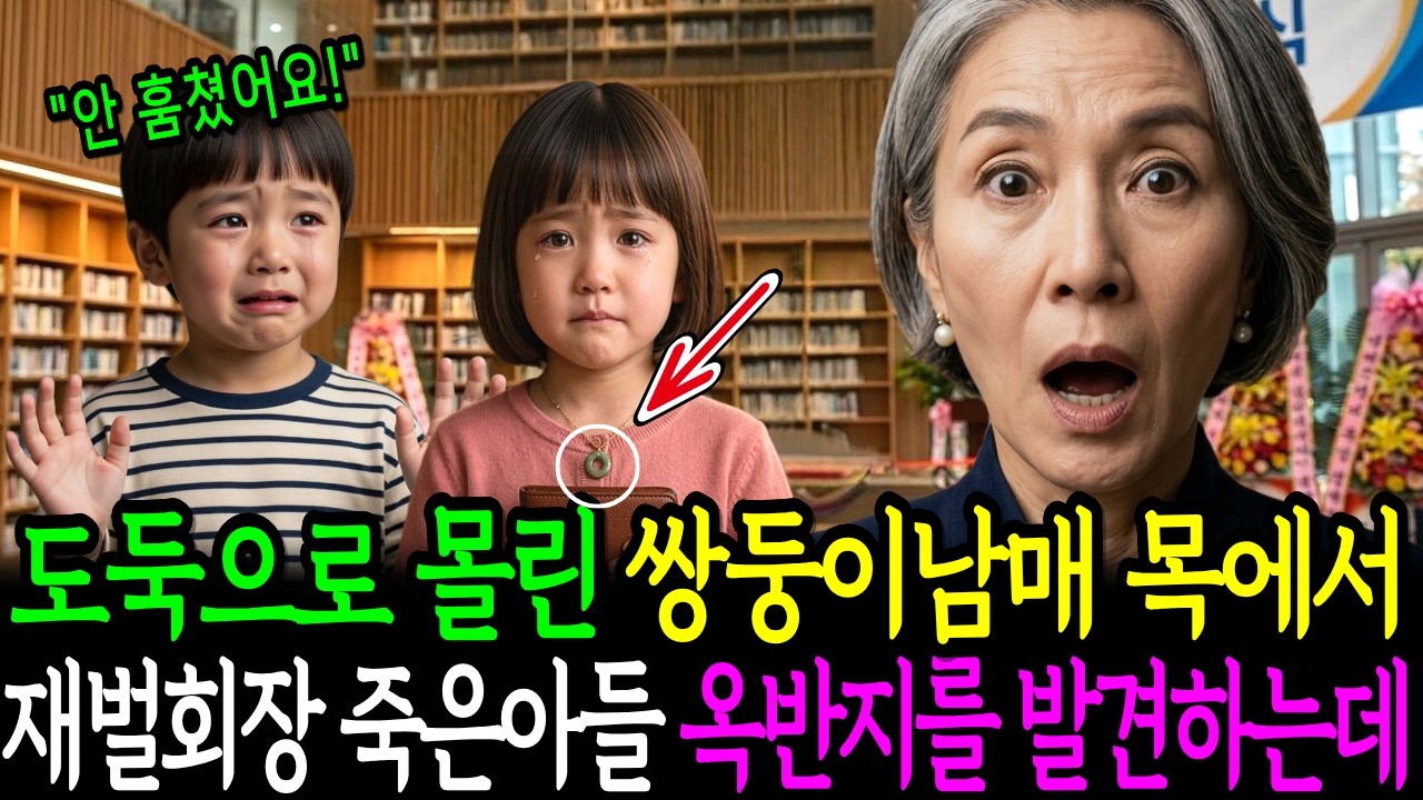 도둑이라며 쌍둥이를 내쫓은 재벌회장, 아이 목에서 죽은 아들의 옥반지를 발견하고 경악한 이유 [정겨담] | 노후사연 | 감동사연 | 사연라디오 | 오디오북