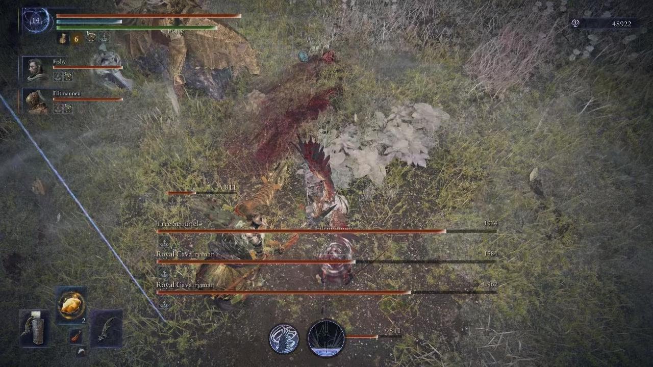 ELDEN RING NIGHTREIGN_Biggest Bird