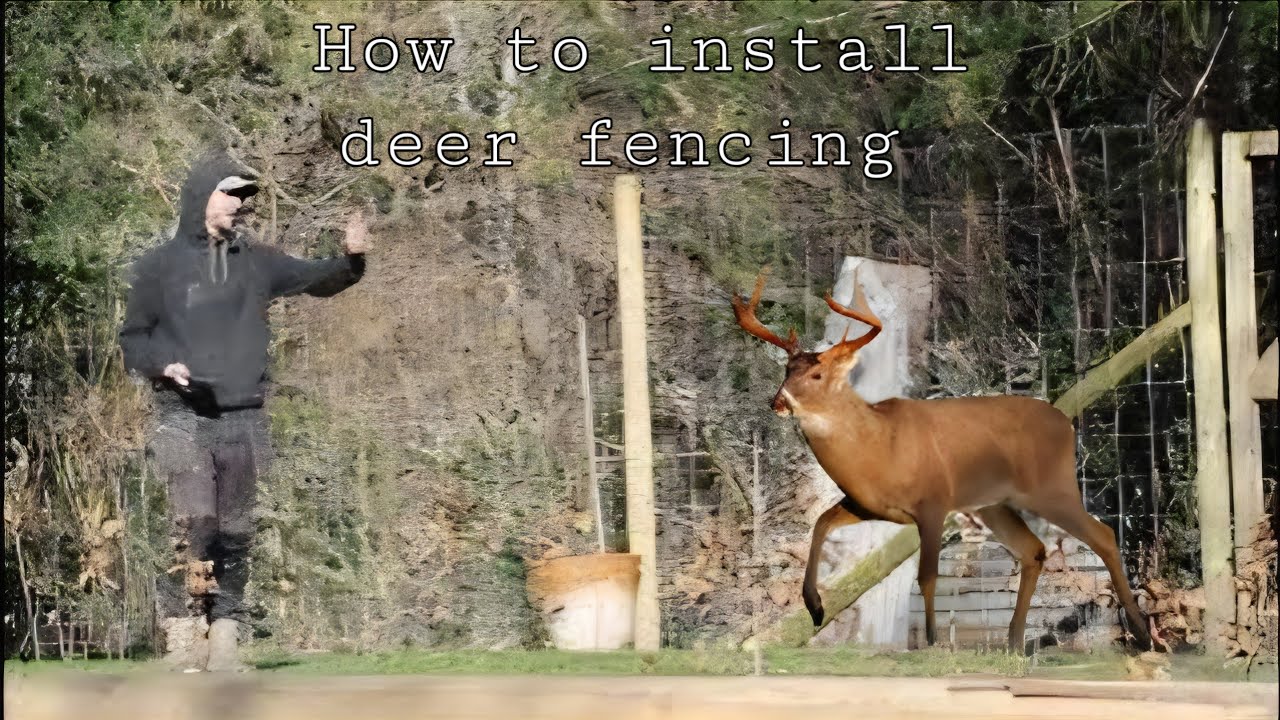 How to install deer fencing