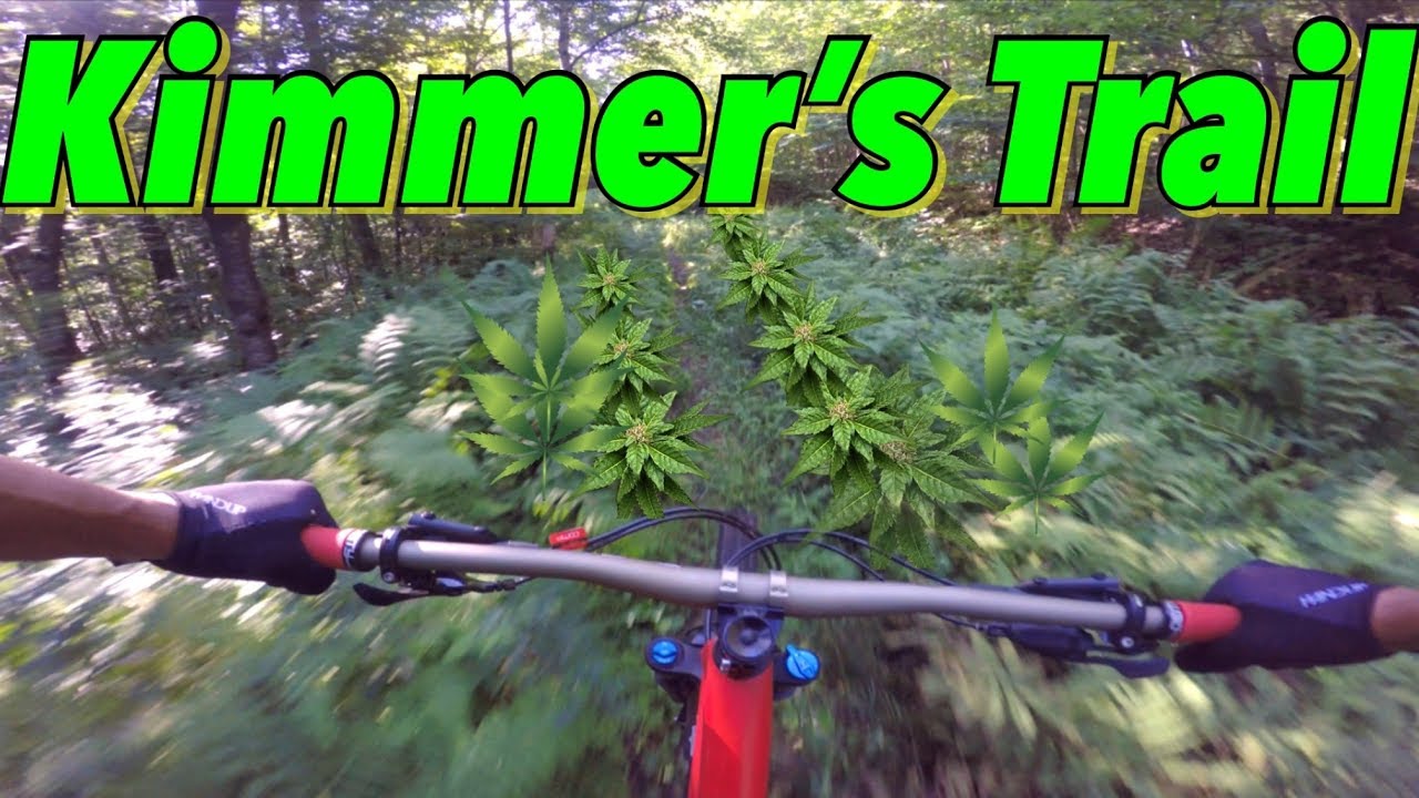 Found some sweet VT trails amongst the WEEDS! | Kimmer’s Trail, Adams Camp | Stowe, VT