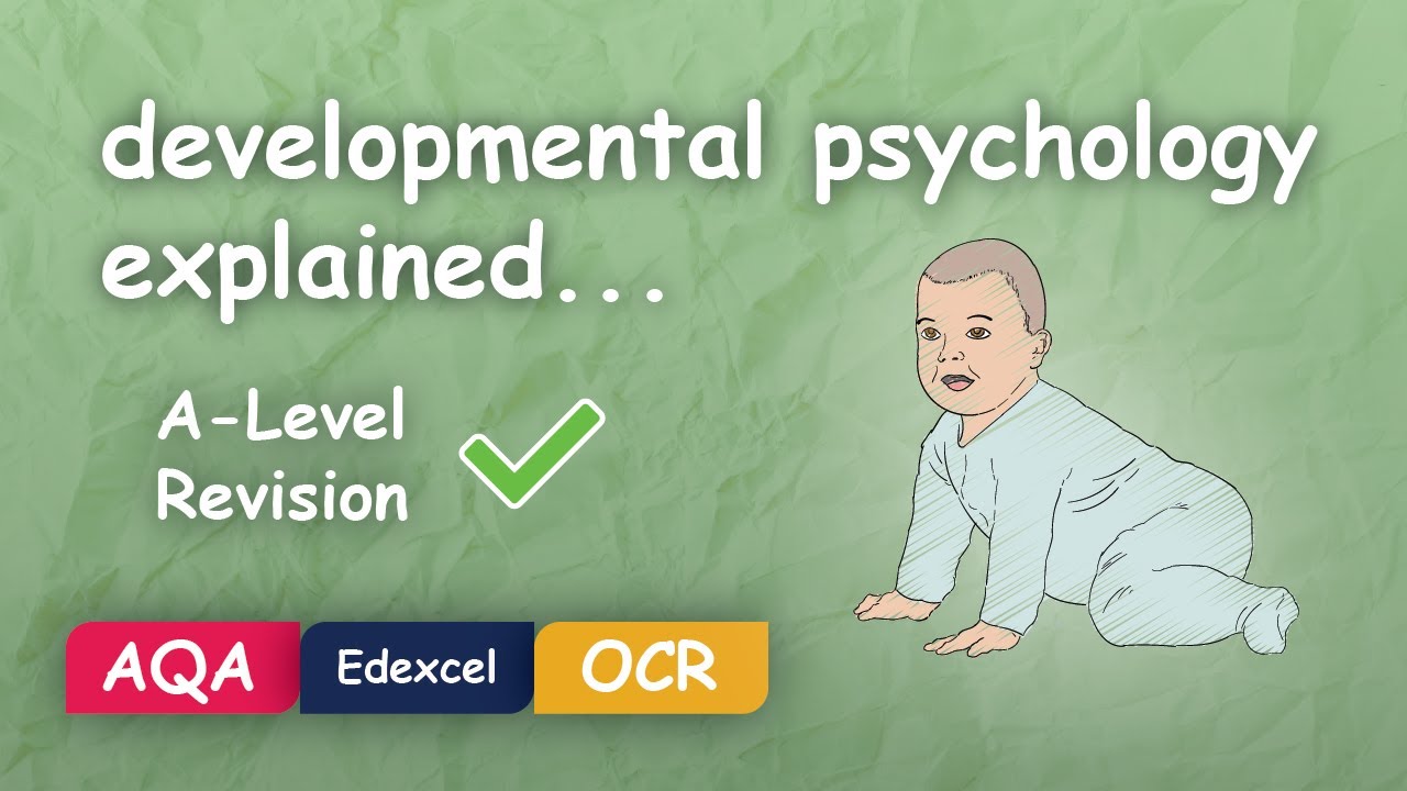 What is Developmental Psychology? #Alevel #Revision (Themes in Psychology Explained)