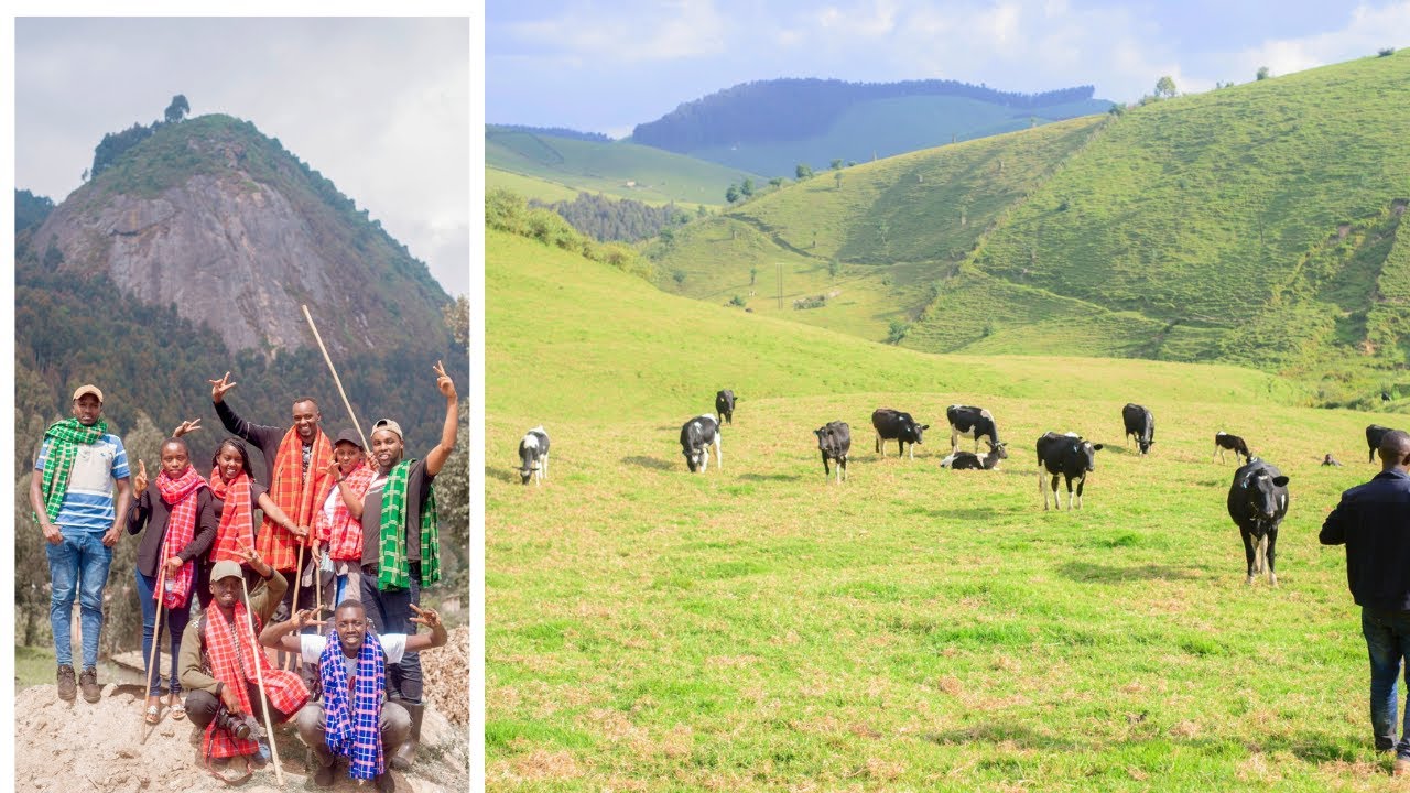 Hiking Ibere rya  Bigogwe - Drinking fresh milk - Milking cows | WaKera |Vlog