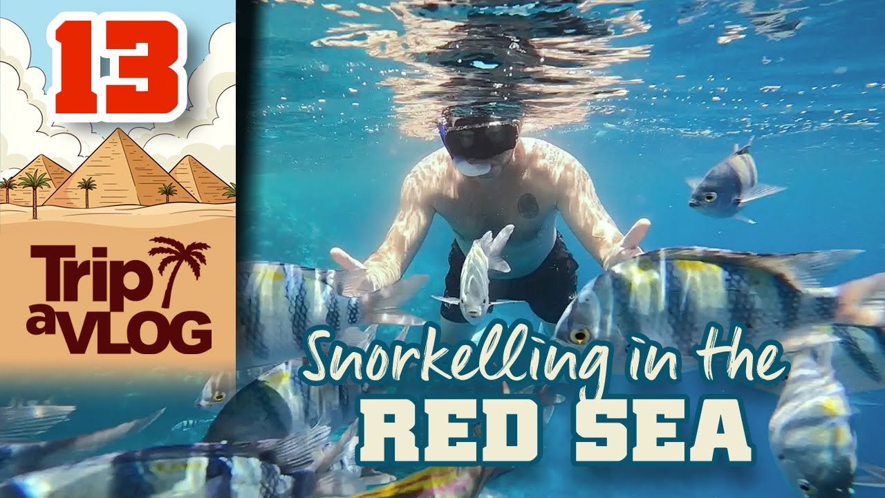 EGYPT  | 13 | Egypt has the best coral reef snorkelling?