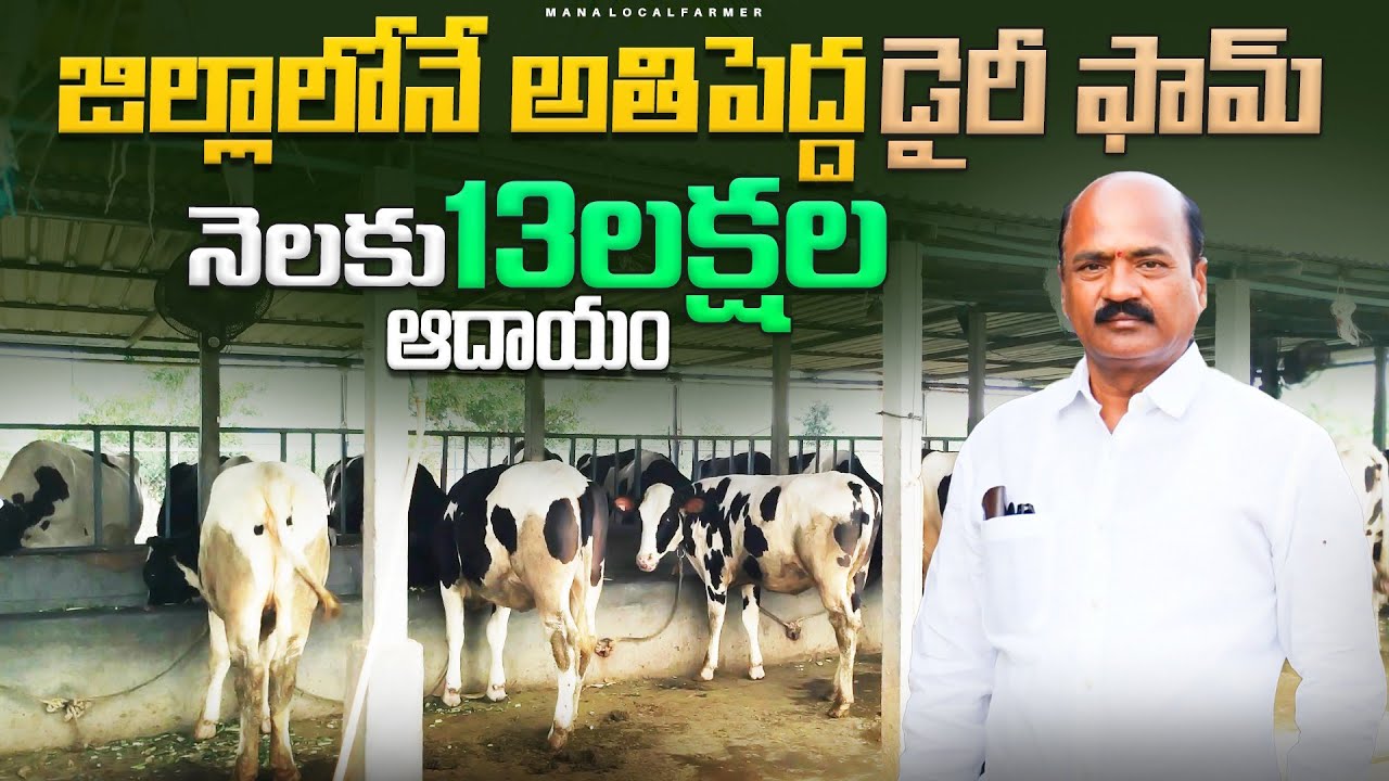 Dairy farm bussiness in telugu | 3 కోట్ల ఖ‌ర్చుతో రోజు 1000 లీట‌ర్ల పాల ఉత్ప‌త్తి చేసే డైరీ ఫామ్‌