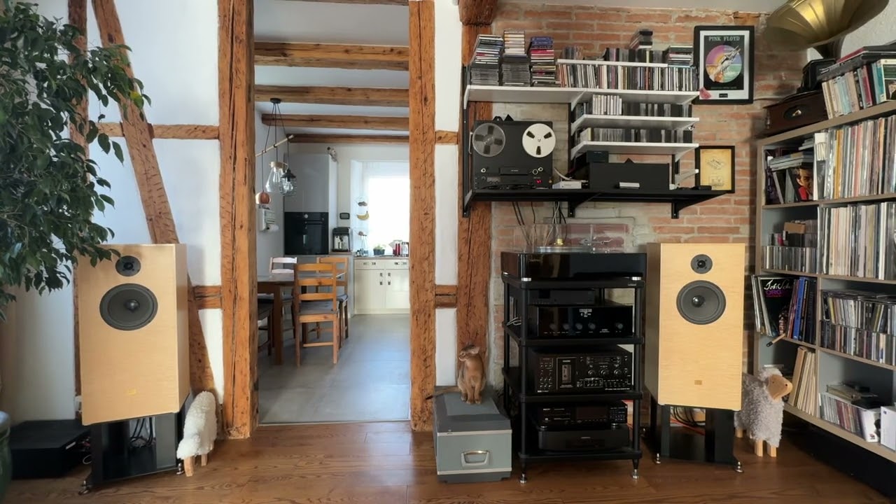 ASC AS 6002 / Linn Majik 1 / AN E-LX Signature / Speed 19