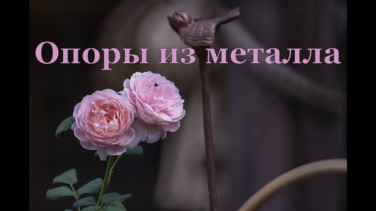 Металл в женских руках - декор для сада! DIY