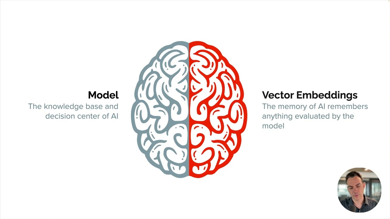 What are AI vector embeddings?