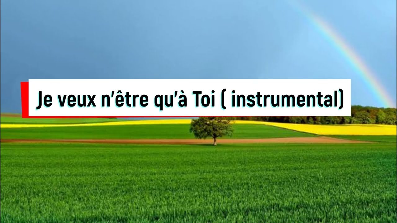 Je veux n'être qu'à Toi - instrumental violon  (LIVE 2023)