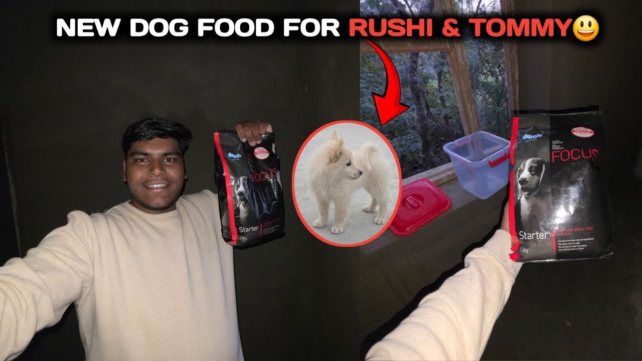 FINALLY DOG KE LIYE STARTER FOOD AA GAYA😃 || क्या कुत्ते को यह पसंद आएगा?🤔