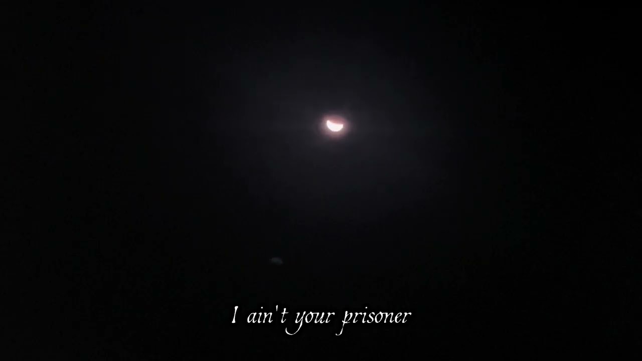 Midnights (Official Lyric Video)