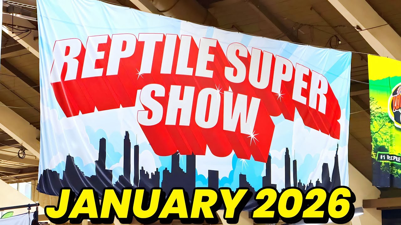 Pomona Reptile Super Show 2026!