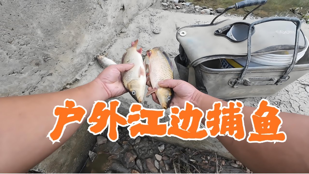 今天趕河好爽，剛來就發現一個小水坑#戶外抓魚#逮魚摸下#小龍蝦