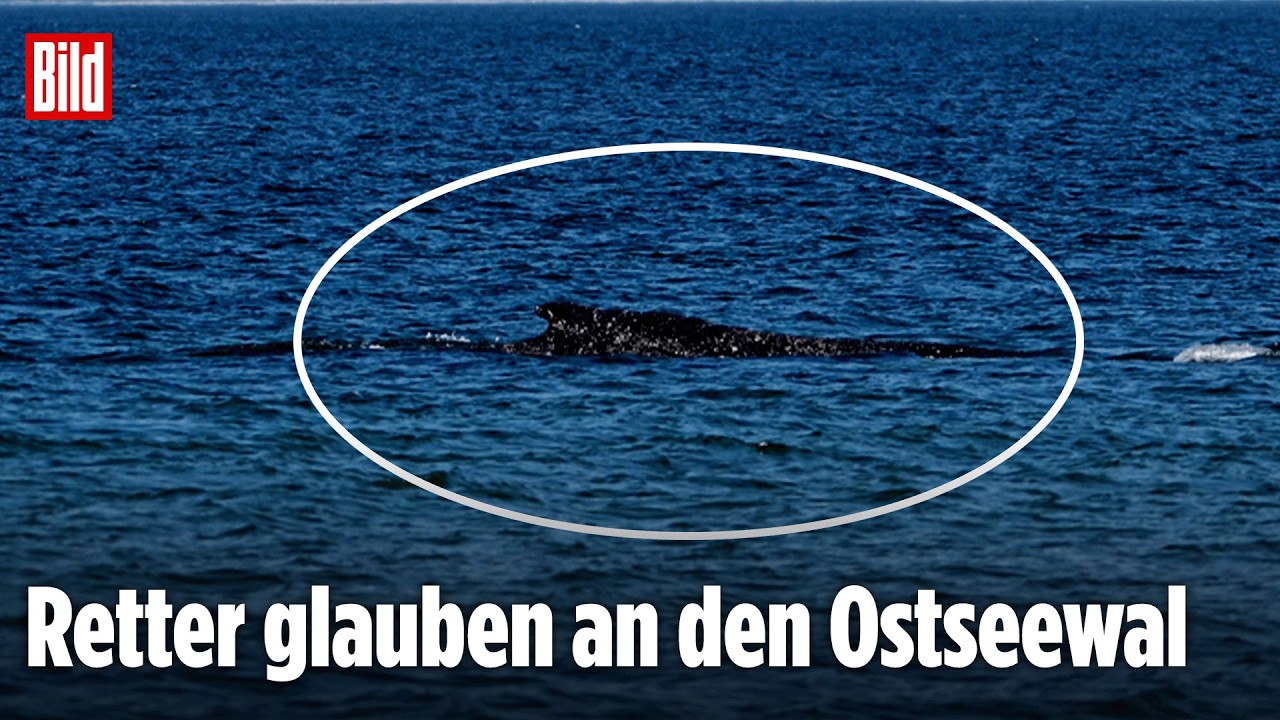 Timmendorfer Strand: Happy End im Ostsee-Drama? Zur&uuml;ck an der K&uuml;ste