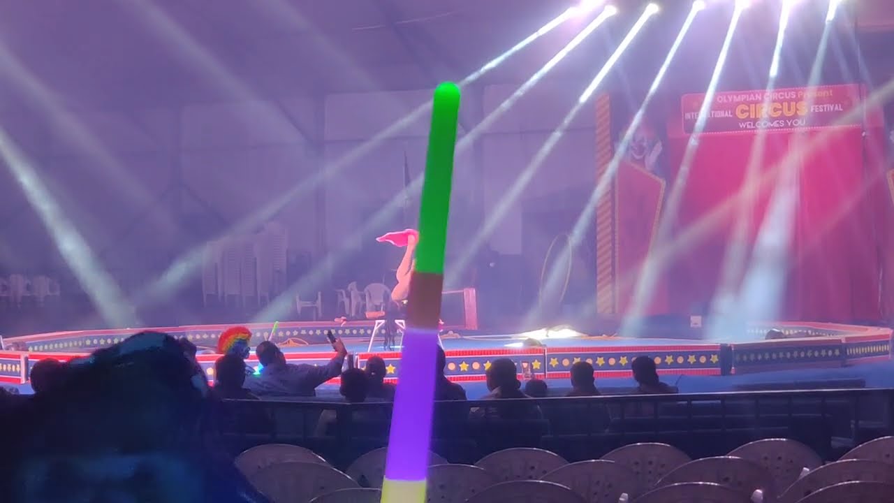 International circus 