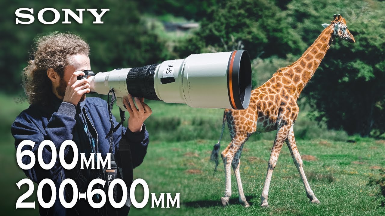 NOUVEAUX OBJECTIFS SONY / 200-600mm et 600mm F4 GM en EXCLU