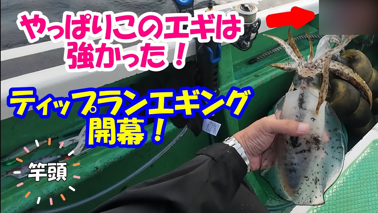 【ティップランエギング 鈴清丸】始めるなら今！やっぱりこの釣りはおもしろい！