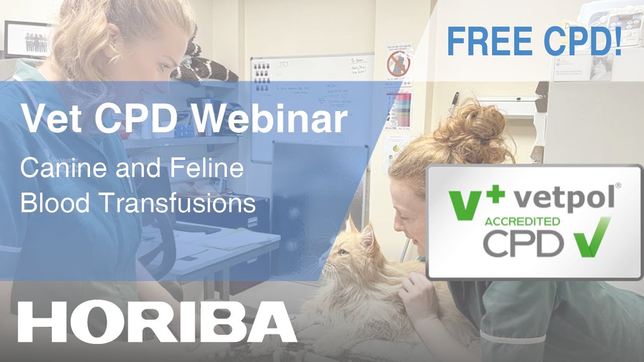 Canine and Feline Blood Transfusions - HORIBA Veterinary CPD Webinar