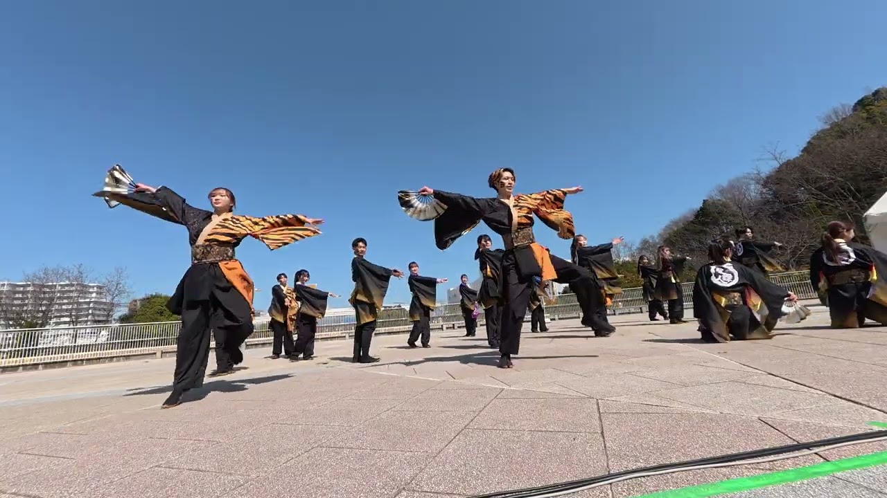 19 有閑踊り子一座 飛舞人 堺よさこいかえる祭り2026［４Ｋ］wide2