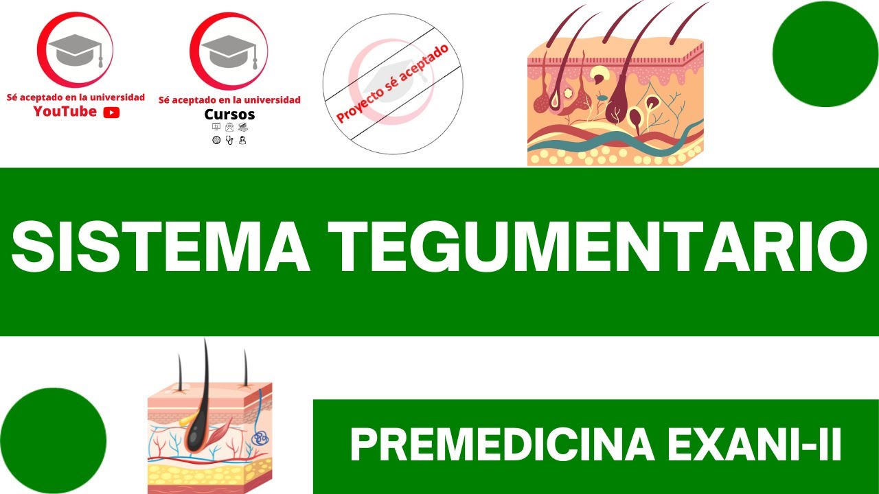 SISTEMA TEGUMENTARIO (ESTRUCTURA Y FUNCIONES BÁSICAS) | CLASE 28 DE PREMEDICINA PARA EXANI-II
