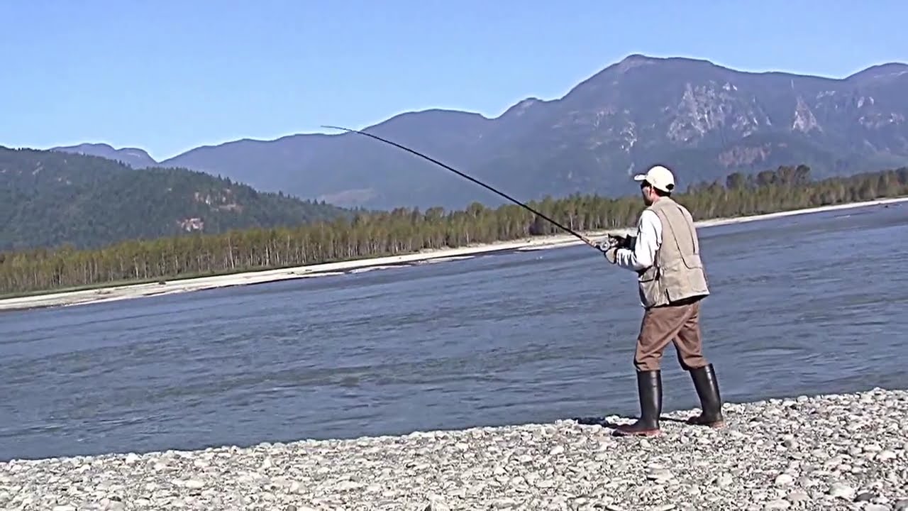 Fishing Chinook Salmon on Fraser River (bottom Bouncing )