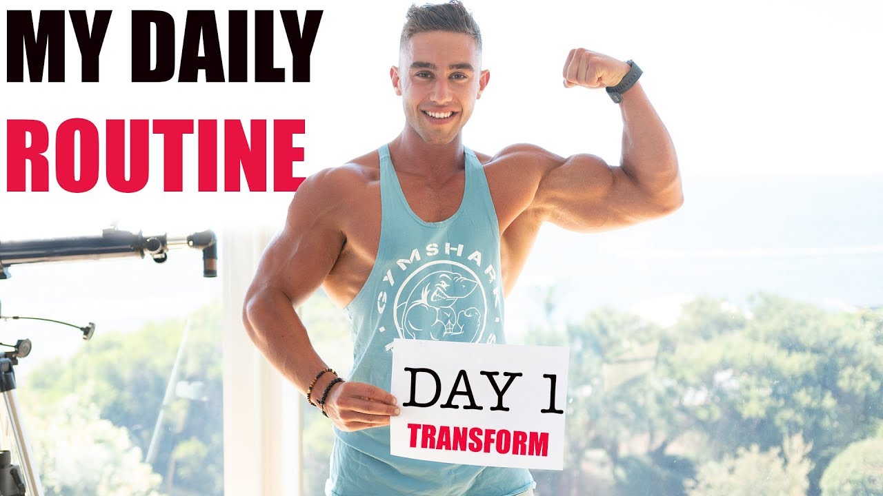 Daily Routine | Zac Perna
