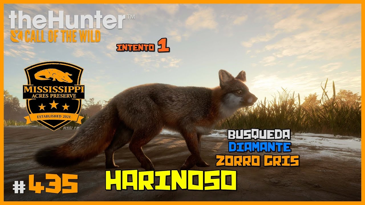 🦌theHunter: CotW #435 | CAZA DEL ZORRO GRIS DE MISSISSIPPI - HARINOSO :D - INTENTO 1 | Español