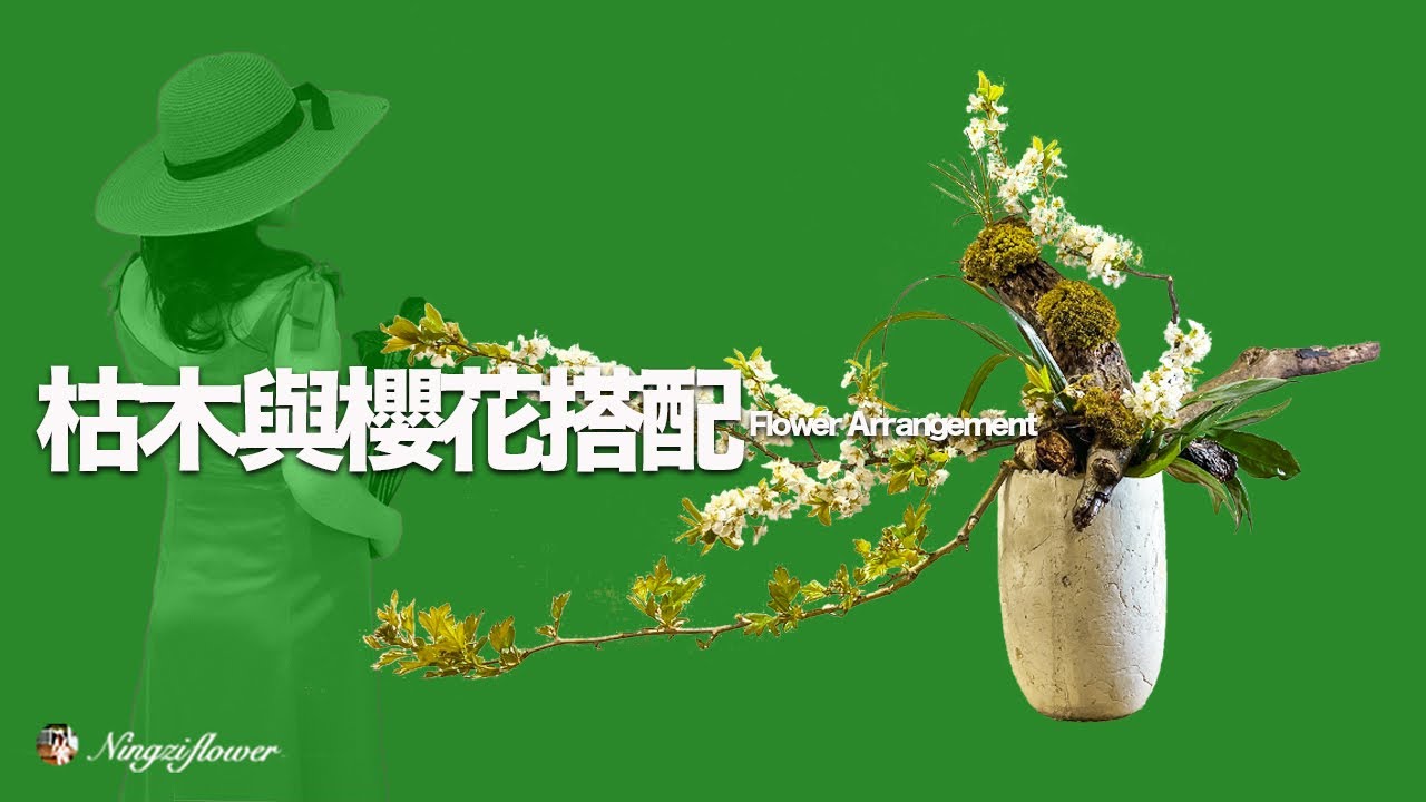 枯木插樱花｜flower arrangement