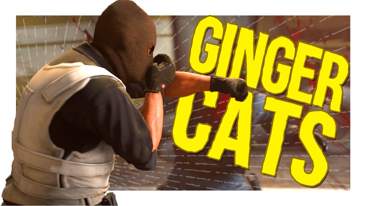 CSGO Funny Moments │ GINGER CATS