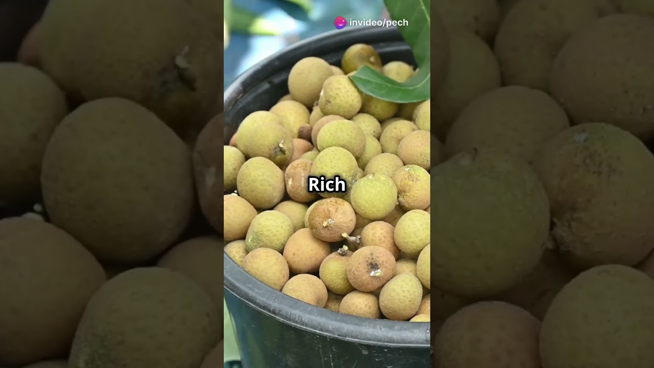 The top 10 benefits of Longan fruit You need to know!