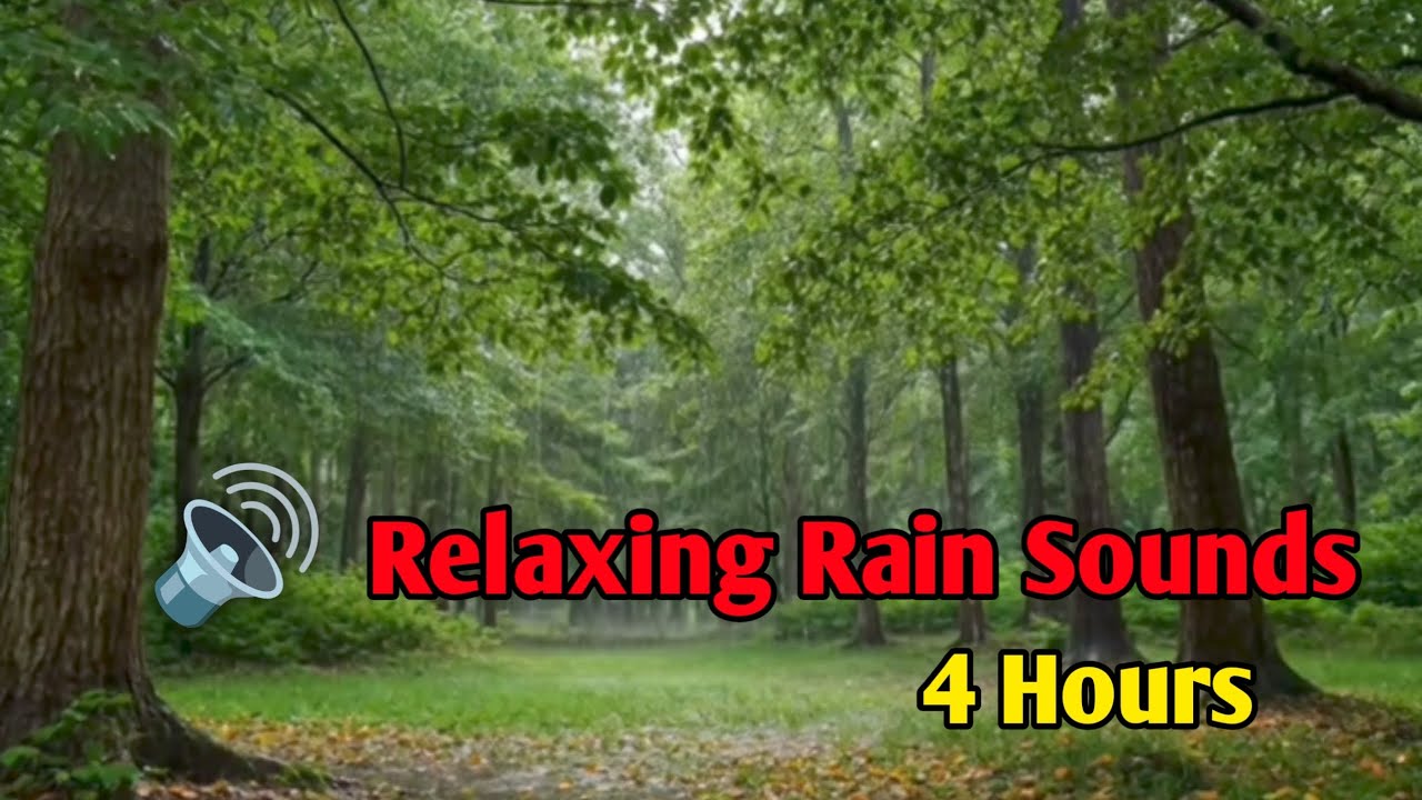 🌧️ 4 Hours Relaxing Rain Sound | Deep Sleep, Stress Relief & Peaceful Ambience 🌙