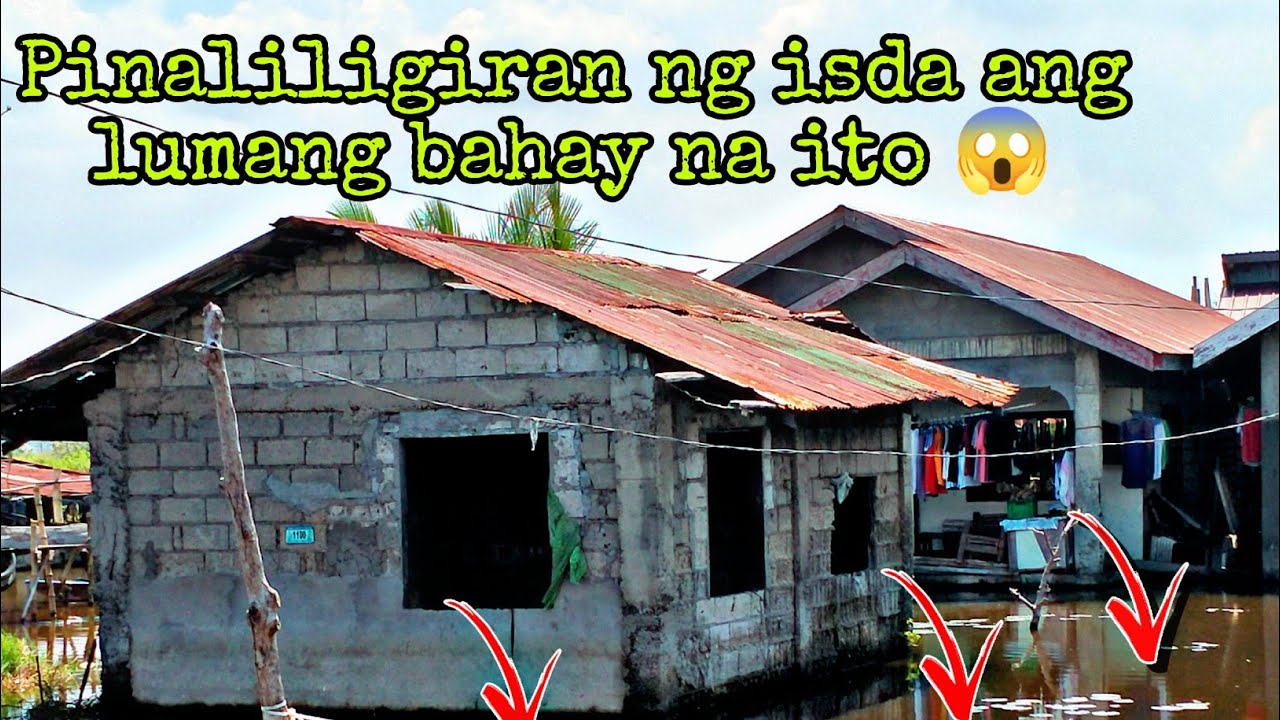 Tiksay Fish Hunting #89 Lumang bahay pinaligiran ng mga isda 😱