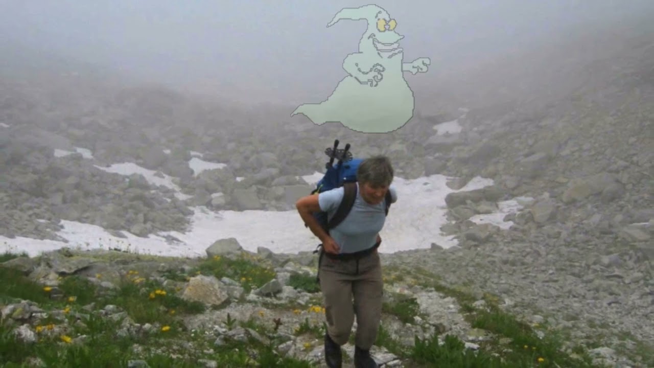 Gurtnellen - Treschhütte - Etzlihütte - Bristen /// 18. Juli 2010