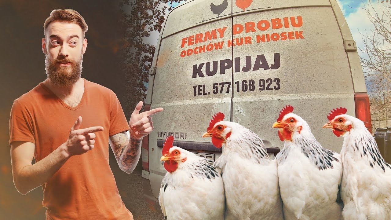 🐓 DOSTAŁEM 40 KUR 🐓 moje MINI ZOO / odc. 184
