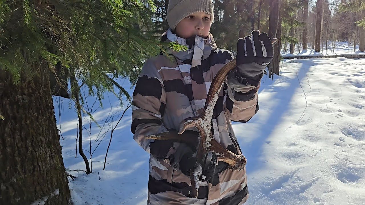О пользе  трения, новосёлы в Совином Доле и подарок от Лешего на 8 Марта