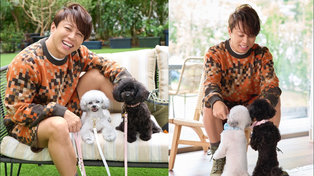 西川貴教さんと愛犬あるちゃん&えるちゃんが遊びにきてくれました！（トイプードル｜月刊わんこ撮影オフショット）