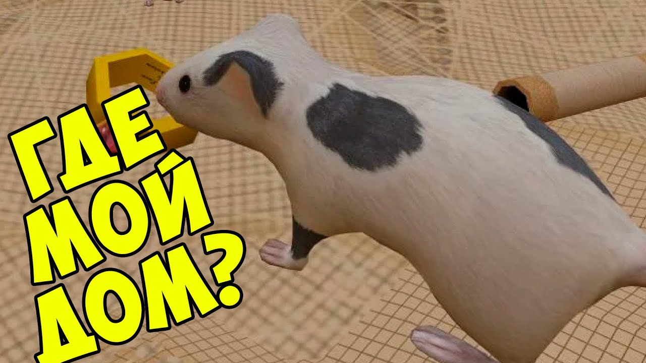 😍СИМУЛЯТОР МЫШИ🐁 Мышонок в лесу Ухаживаю за питомцем