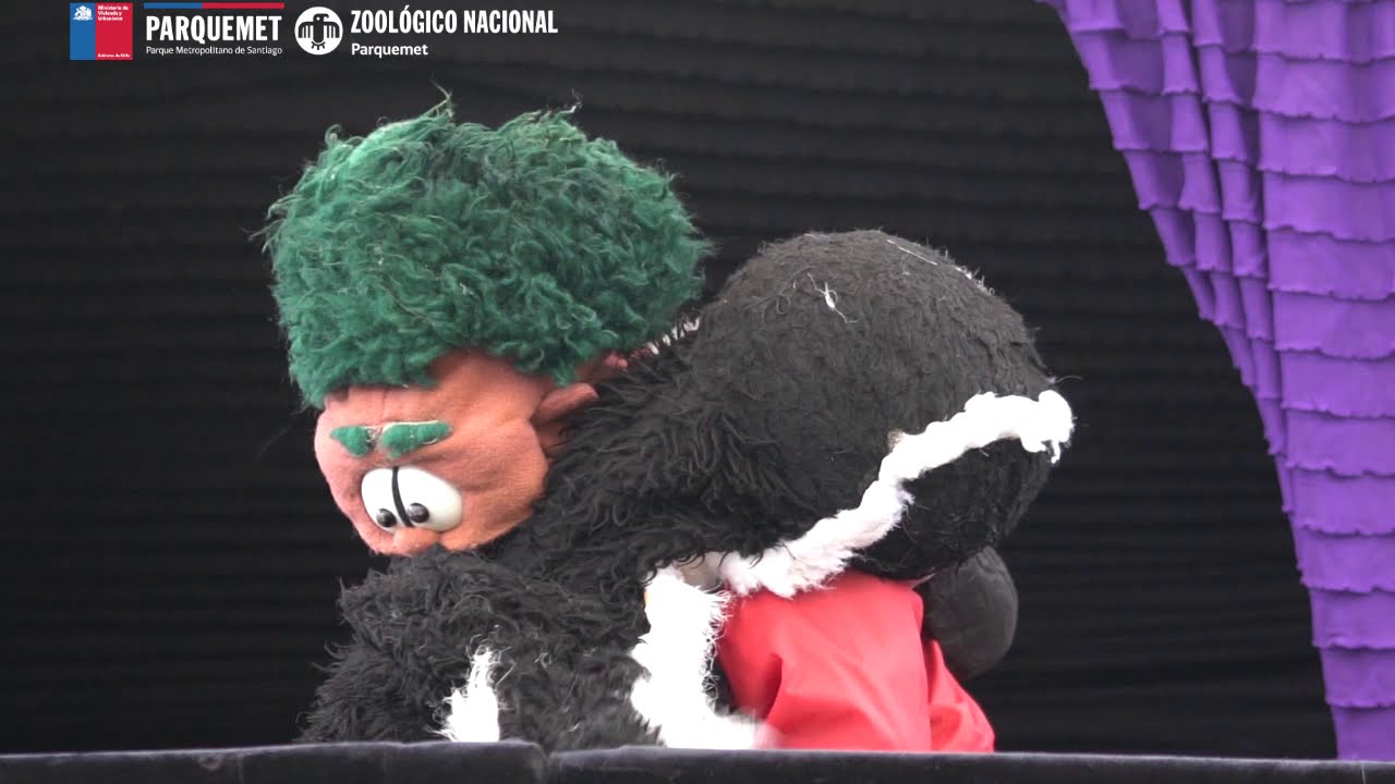"Elvis, el pingüino de Humbold"