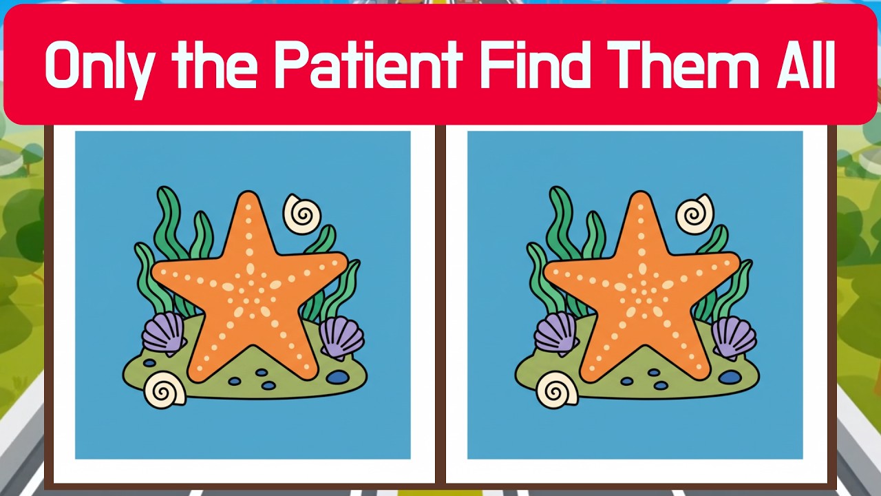 🦉 Only the Patient Find Them All | Detective Owl 🦉