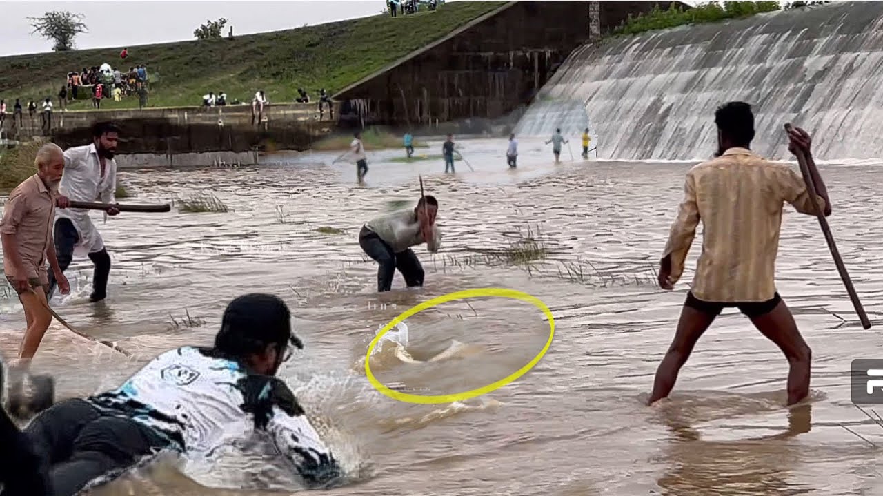 किस्मत से ही मिलते हैं ऐसे मौके 😱 चढणीचे मासे |बादलों के संग खेलती मछली |Chadniche Mase @चढणीचेमासे