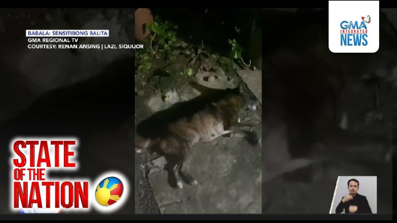 Mahigit 10 aso, patay dahil nilason? | SONA
