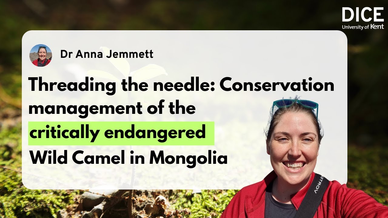 Conservation management of the critically endangered Wild Camel in Mongolia | Dr Anna Jemmett