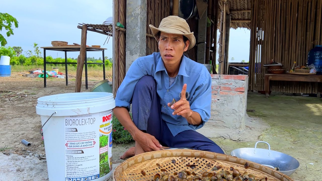 THĂM CHÒI ÔNG 6 ẨM THỰC ỐC BƯƠU VÀNG ỐC XÀO HÀNH ỐC KHO MẮM RUỐC NHỮNG NGÀY KHÔNG BÌNH YÊN