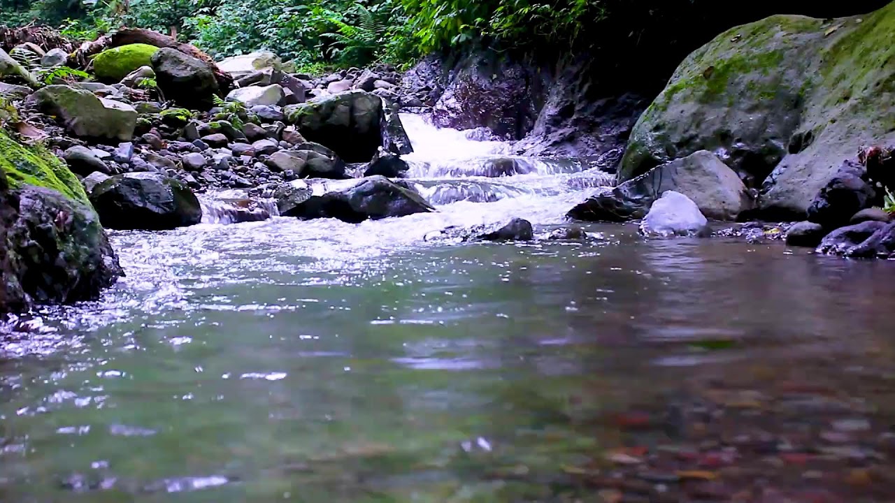 Mountain River Flowing Stream | Calm Nature White Noise for Stress Relief